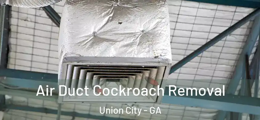 Air Duct Cockroach Removal Union City - GA