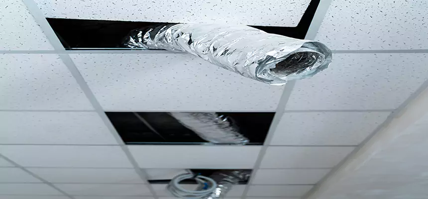 Our Air Duct Pet Hair Removal Services in Union City, GA