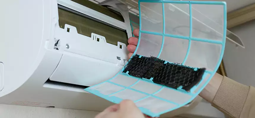 Gentle Ductwork Odor-Control Pet Dander Duct Cleaning in Union City, GA