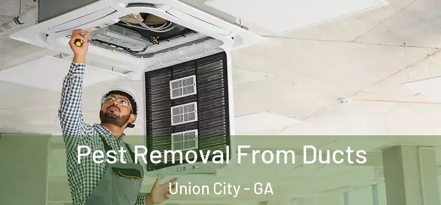  Pest Removal From Ducts Union City - GA