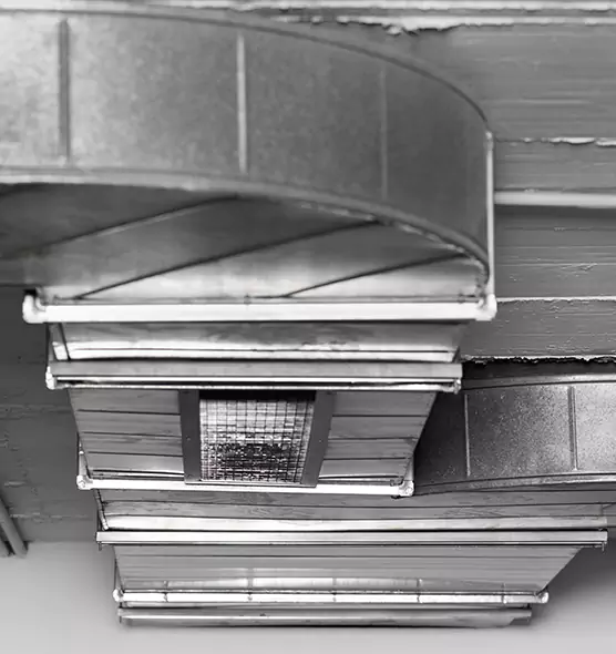 Professional Air Duct Pet Hair Removal in Union City, GA