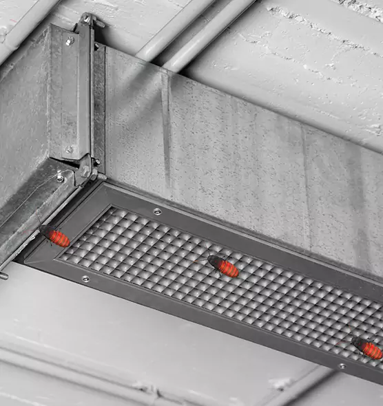 Affordable Insect Removal from Air Ducts in Union City, GA