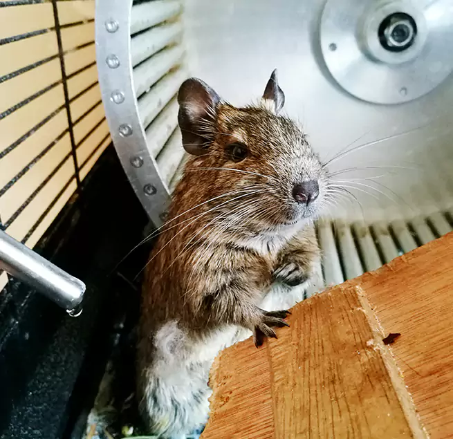 Why Homeowners & Businesses Trust Us Union City, GA